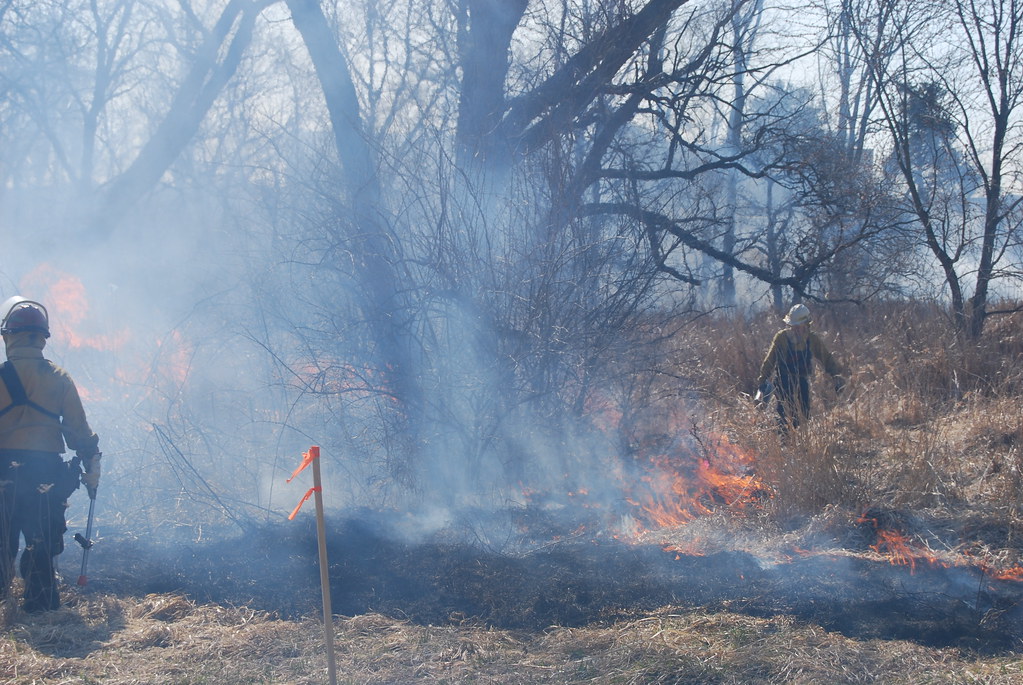 Controlled Burn