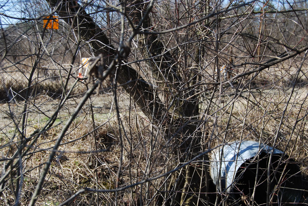 Waterfall Glen 049
