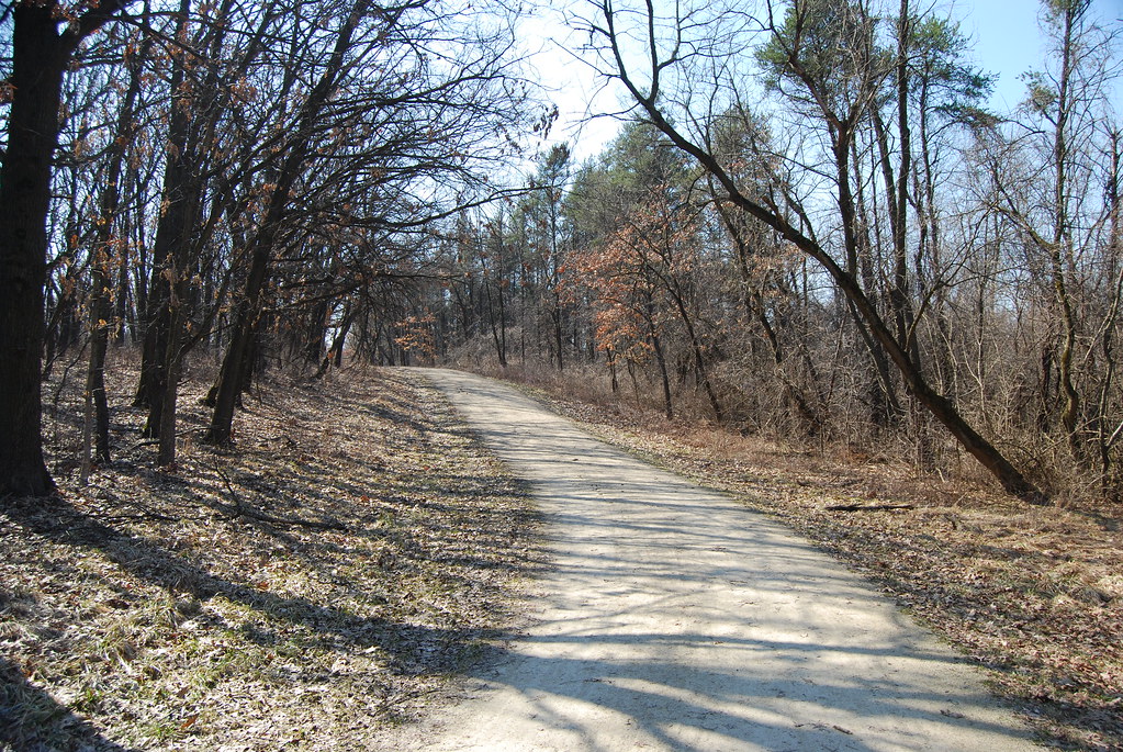 Waterfall Glen 069