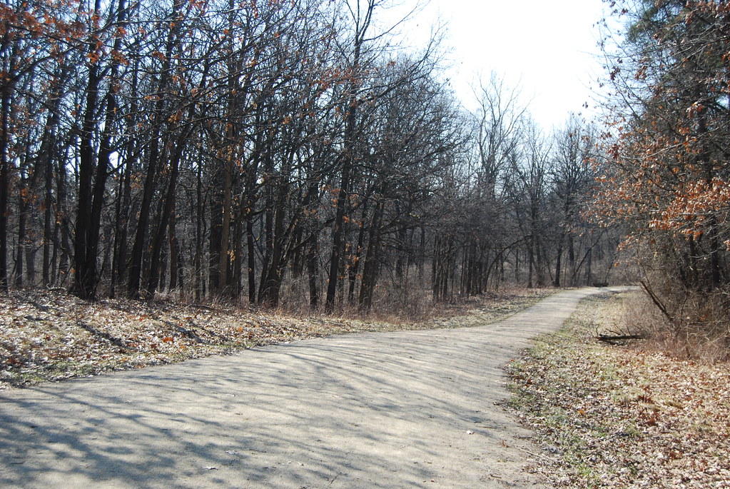 Waterfall Glen 073