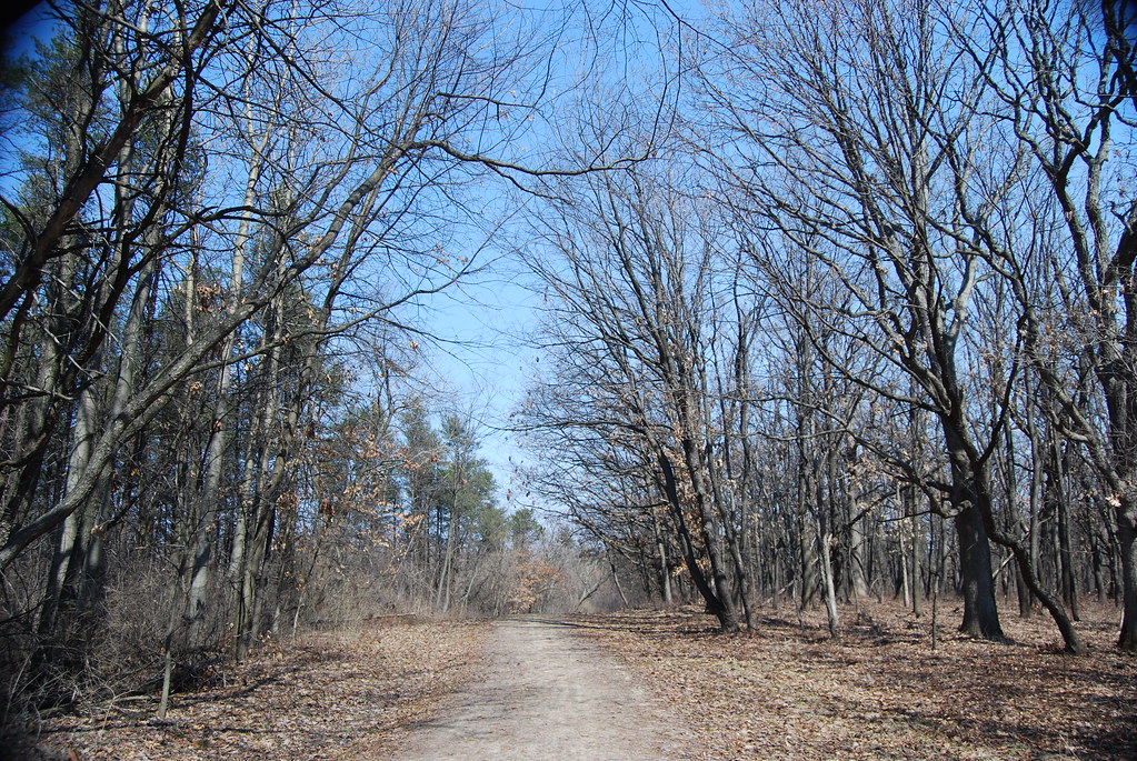 Waterfall Glen 083