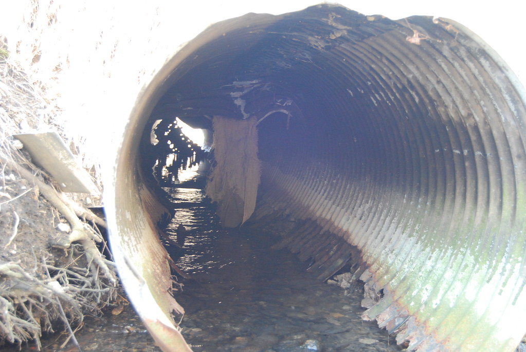 Waterfall Glen 046