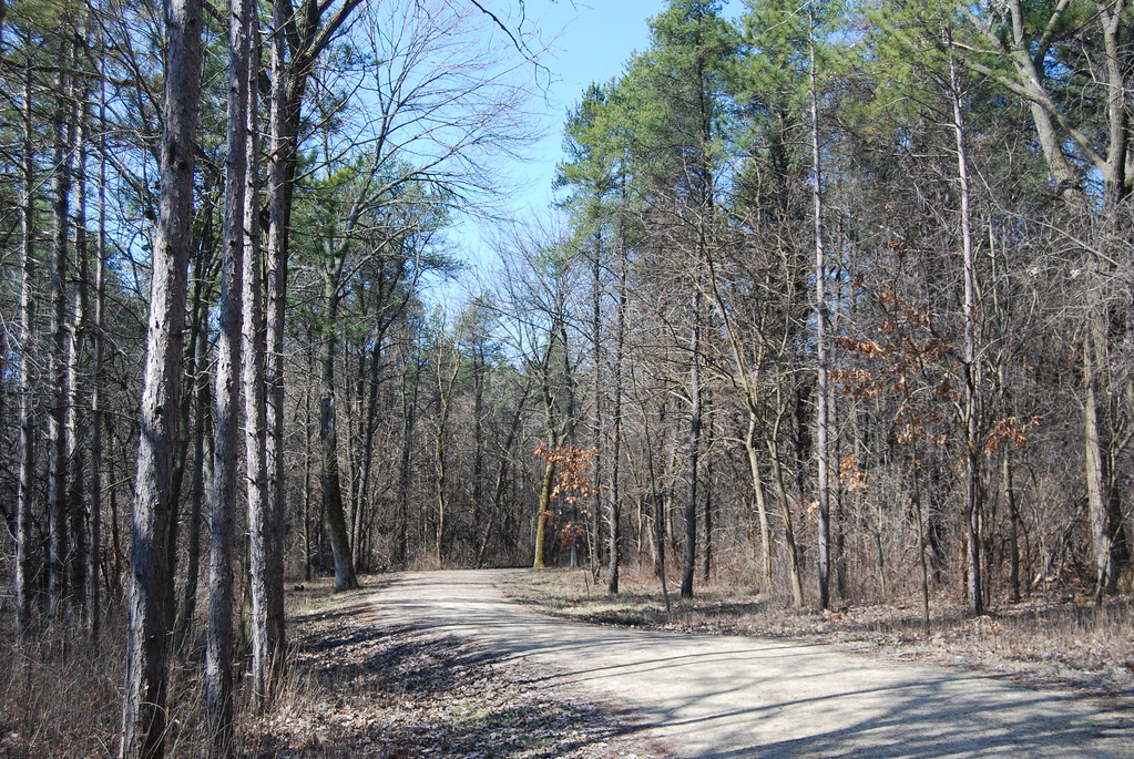 Waterfall Glen 061