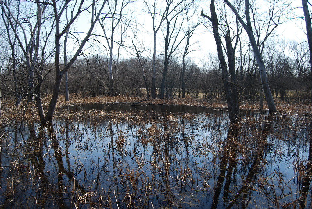 Waterfall Glen 066