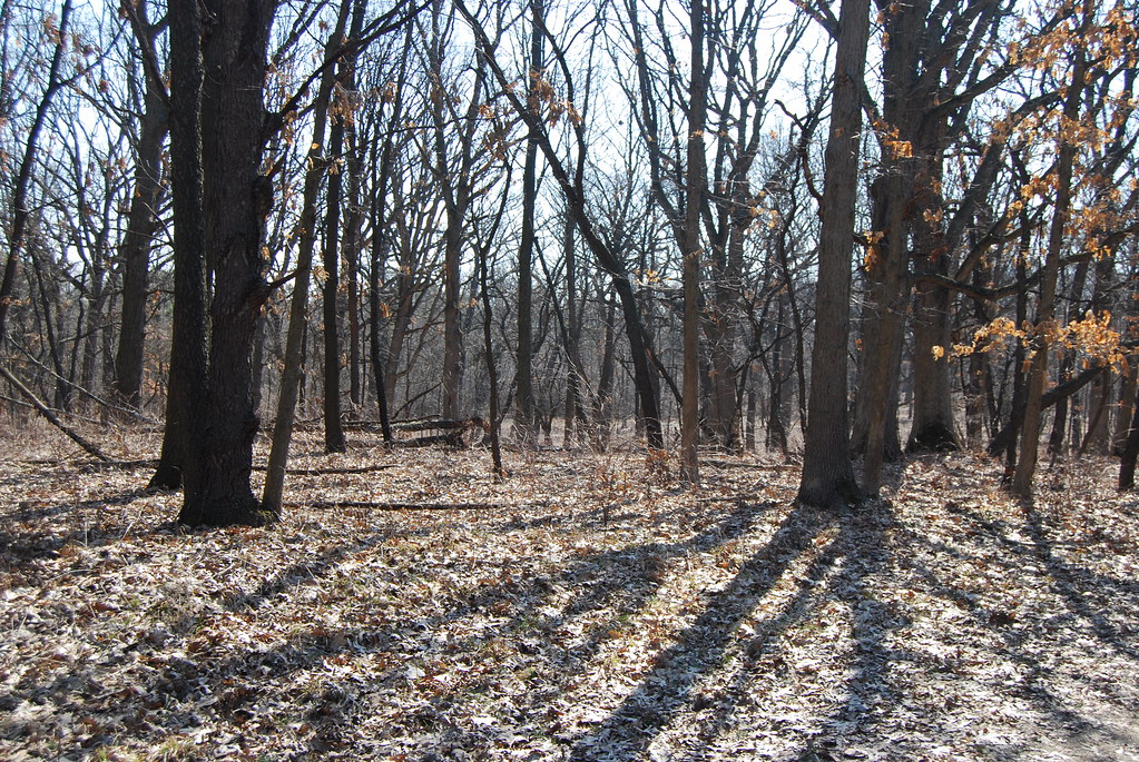 Waterfall Glen 071