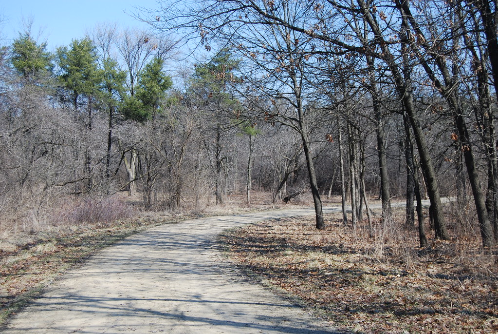Waterfall Glen 075