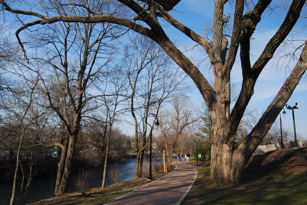 Naperville 017