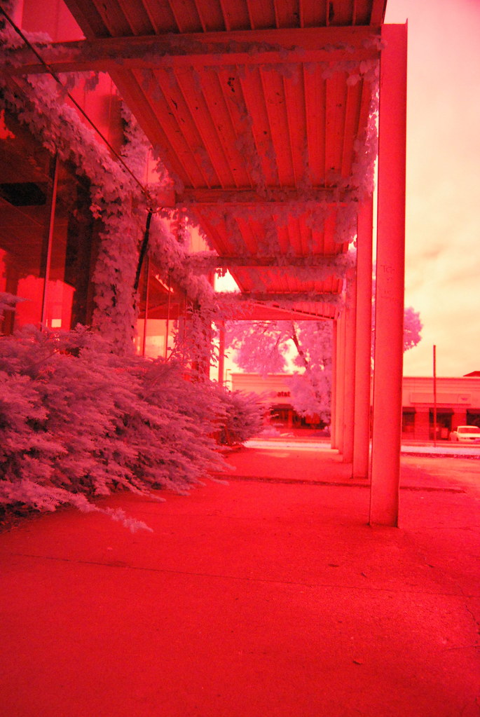 Downtown Naperville 159