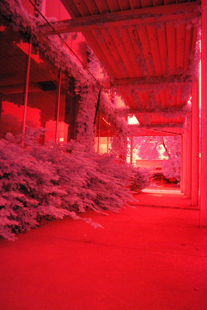 Downtown Naperville Infrared