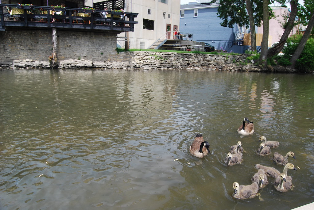 Downtown Naperville 083