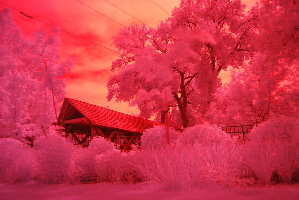Naperville Riverwalk Infrared 8