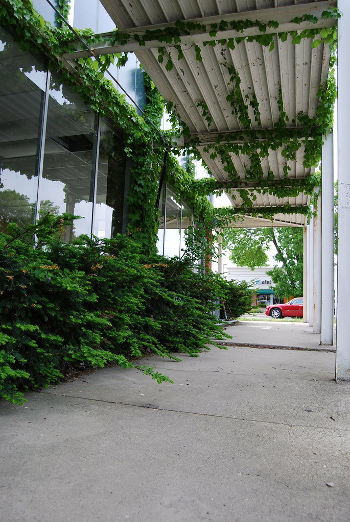 Downtown Naperville 166