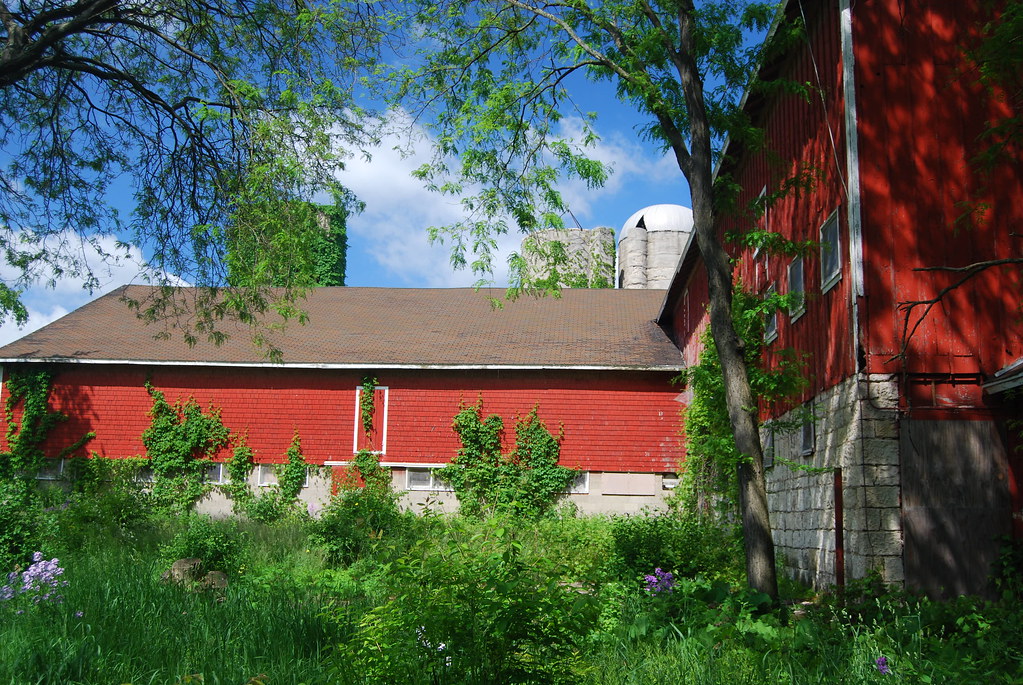 Greene Valley Forest Preserve 17