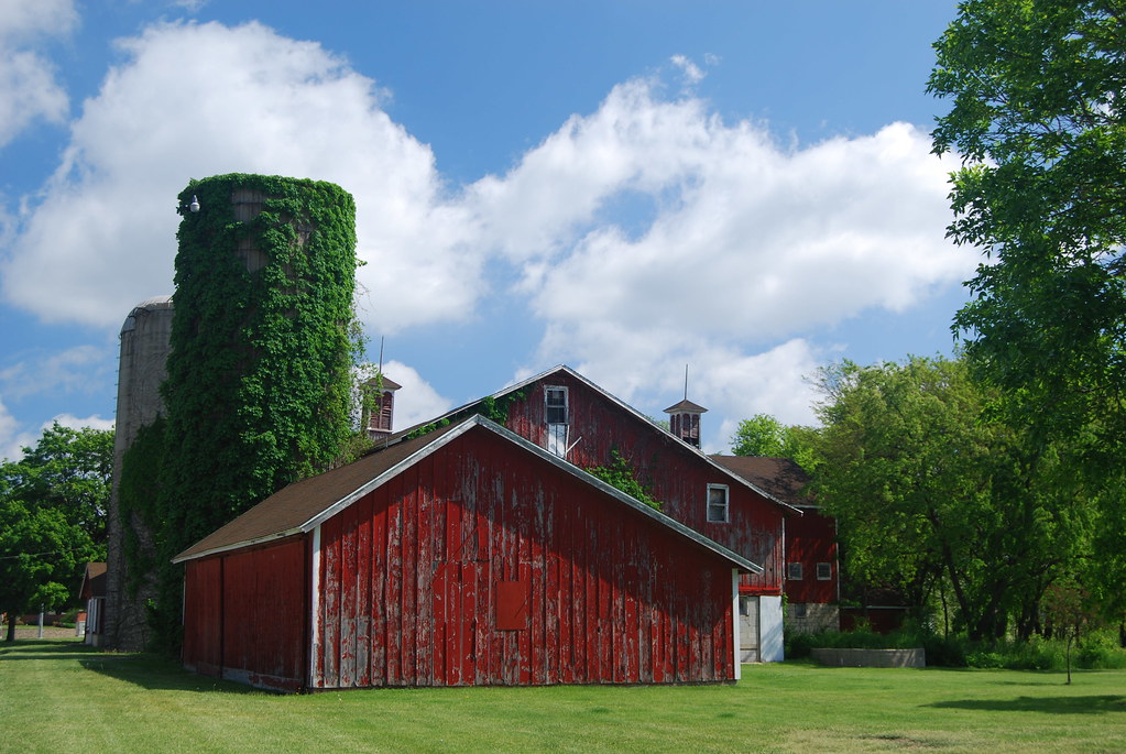 Greene Valley Forest Preserve 14