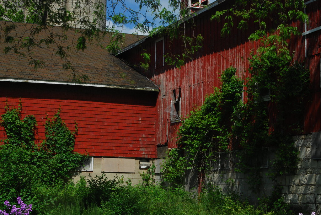 Greene Valley Forest Preserve 16