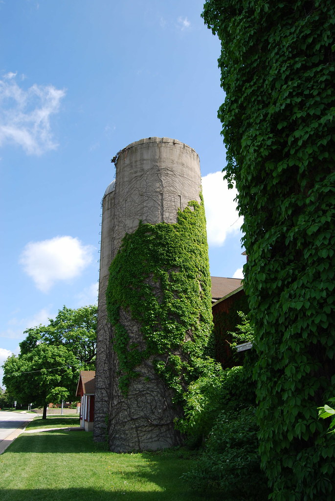 Greene Valley Forest Preserve 11