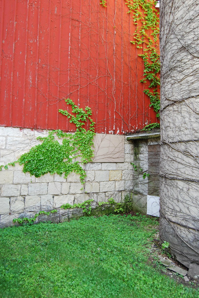Greene Valley Forest Preserve 9