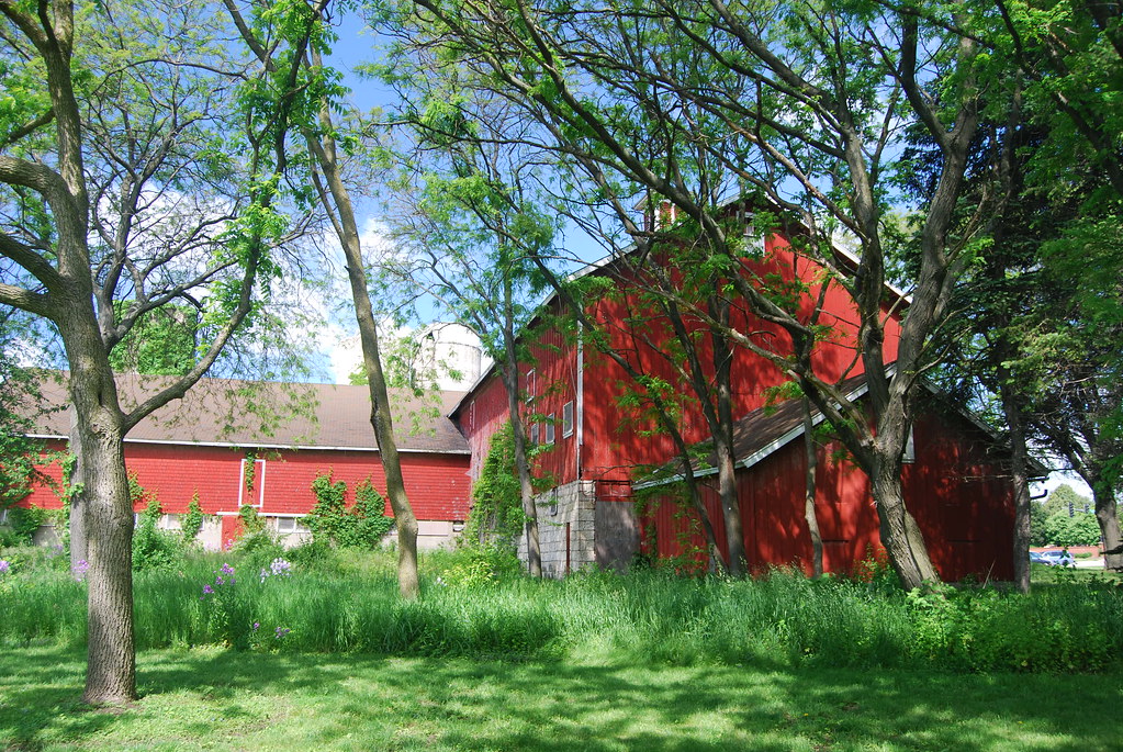 Greene Valley Forest Preserve 7