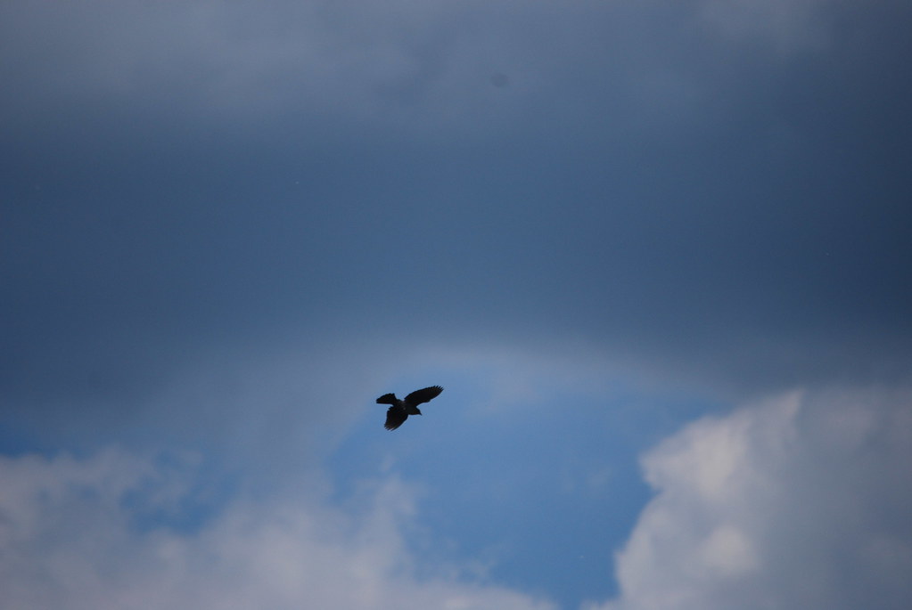 Naperville Scenic Overlook 15