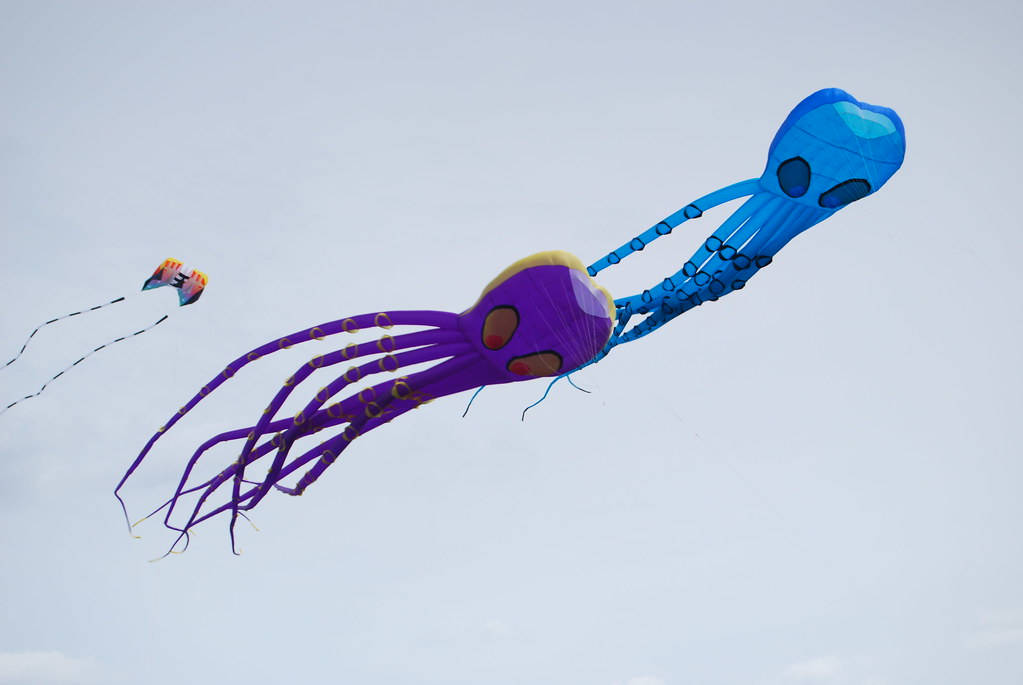 Frontier Kite Fly Festival 048