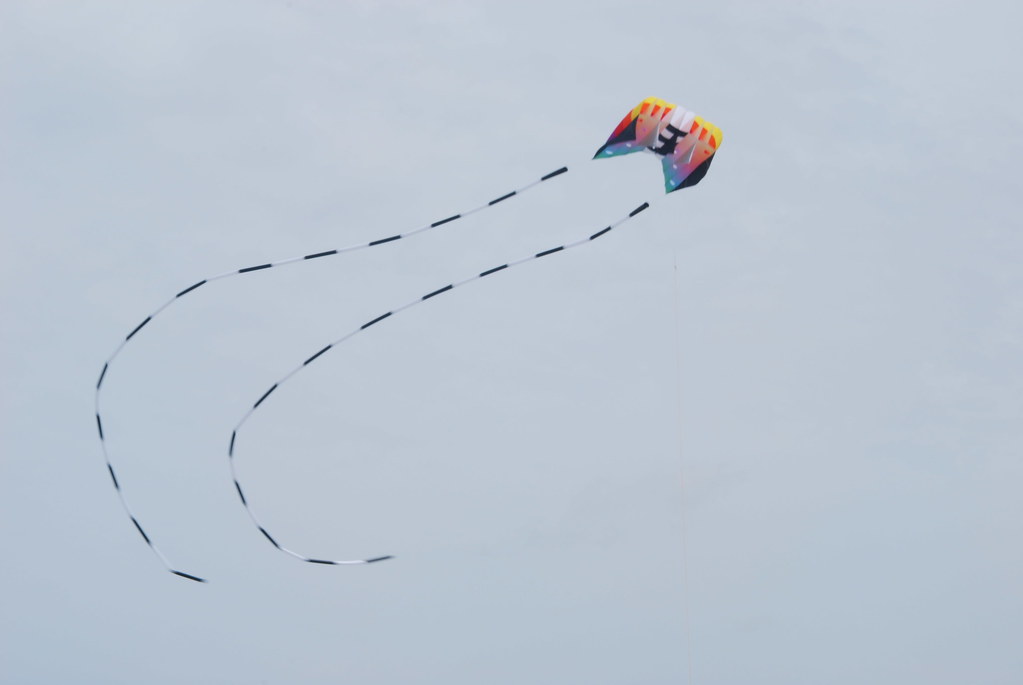 Frontier Kite Fly Festival 128
