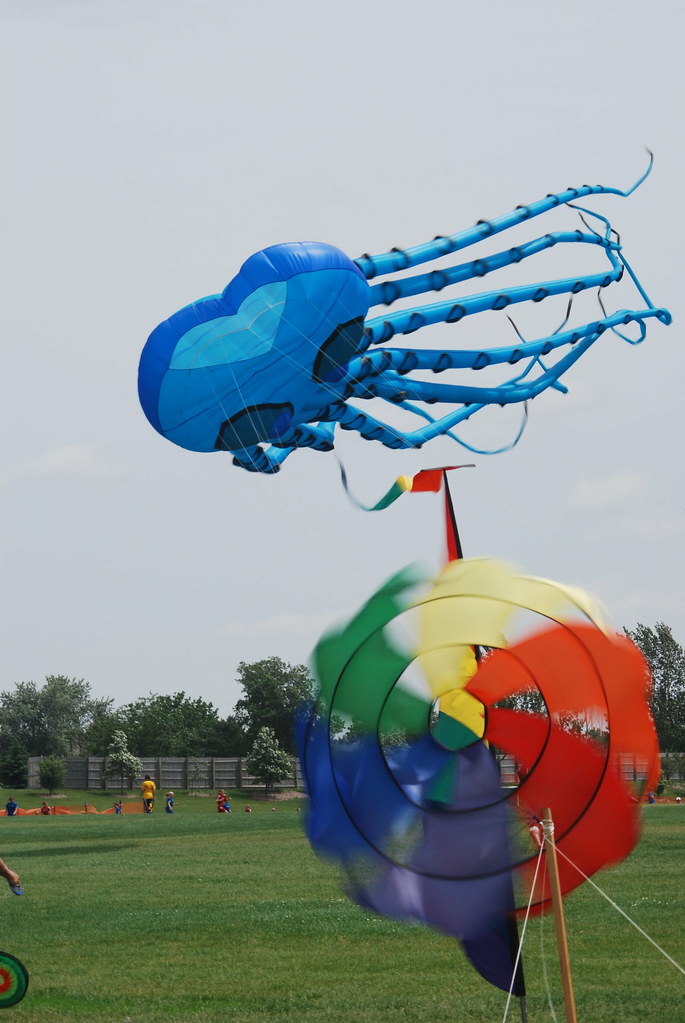 Frontier Kite Fly Festival 141