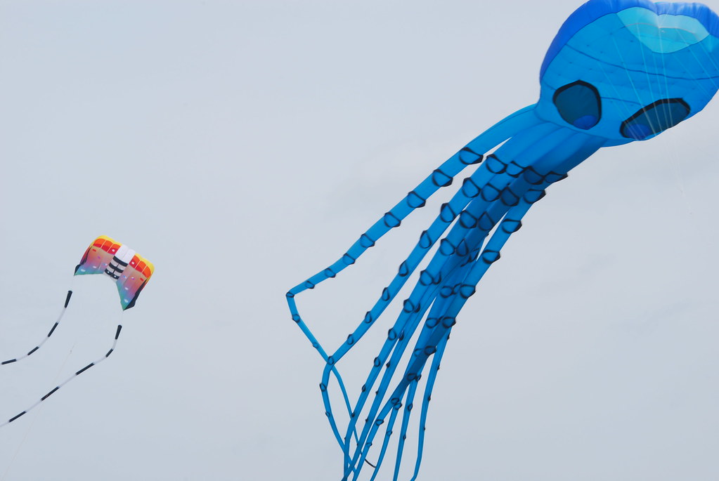 Frontier Kite Fly Festival 126