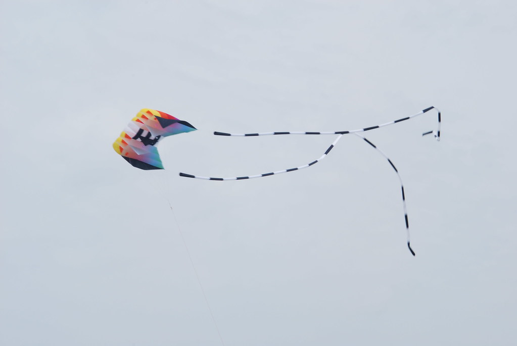 Frontier Kite Fly Festival 153