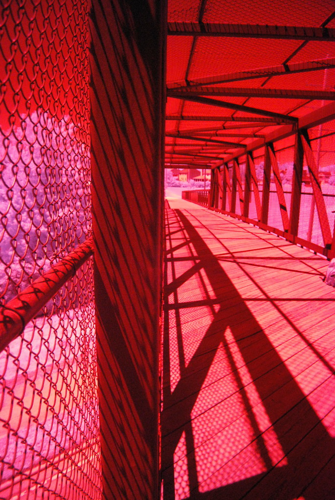 Fermilab Trail 058