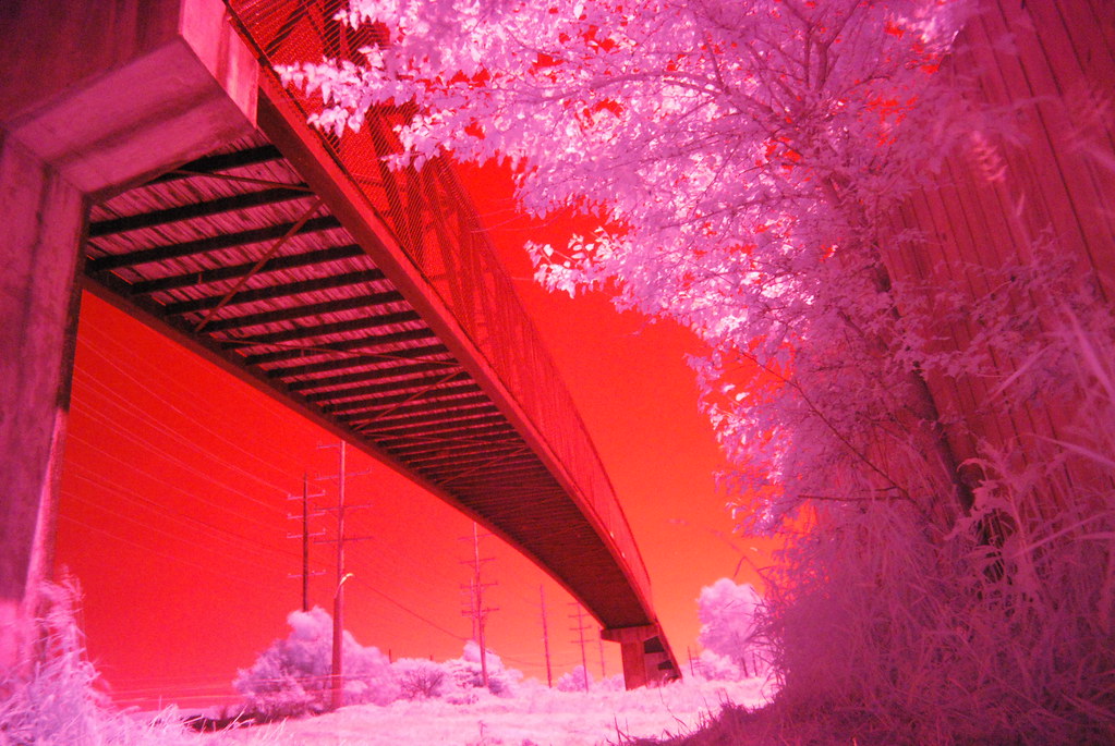 Fermilab Trail 080