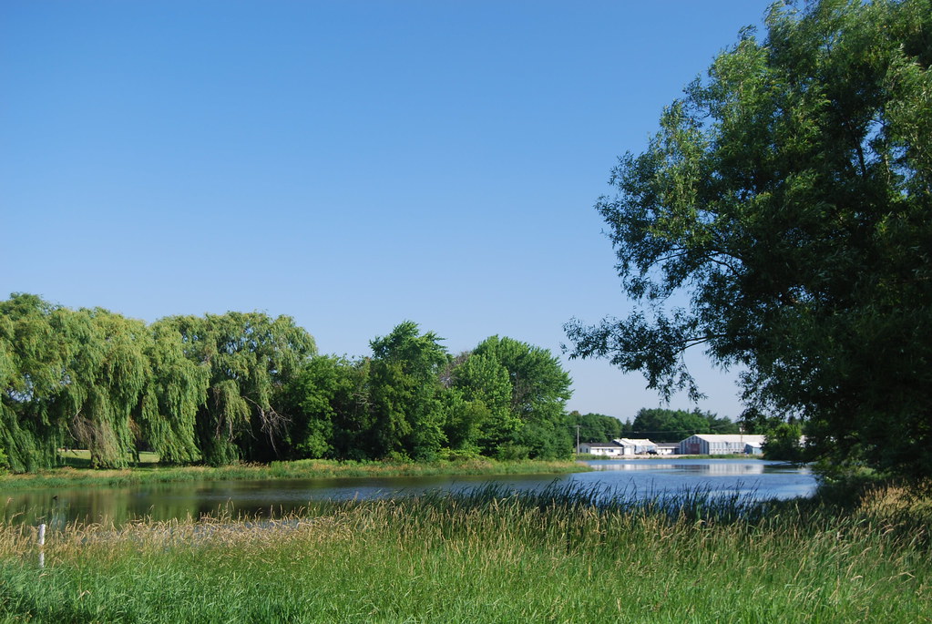 Fermi National Laboratory 115