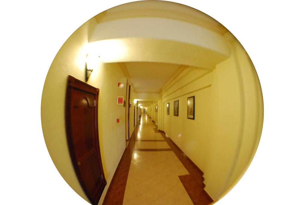 Riu Vallarta FishEye 050
