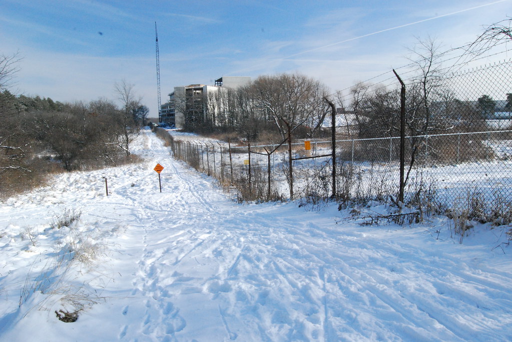 Winter at Waterfall Glen Forest Preserve 009