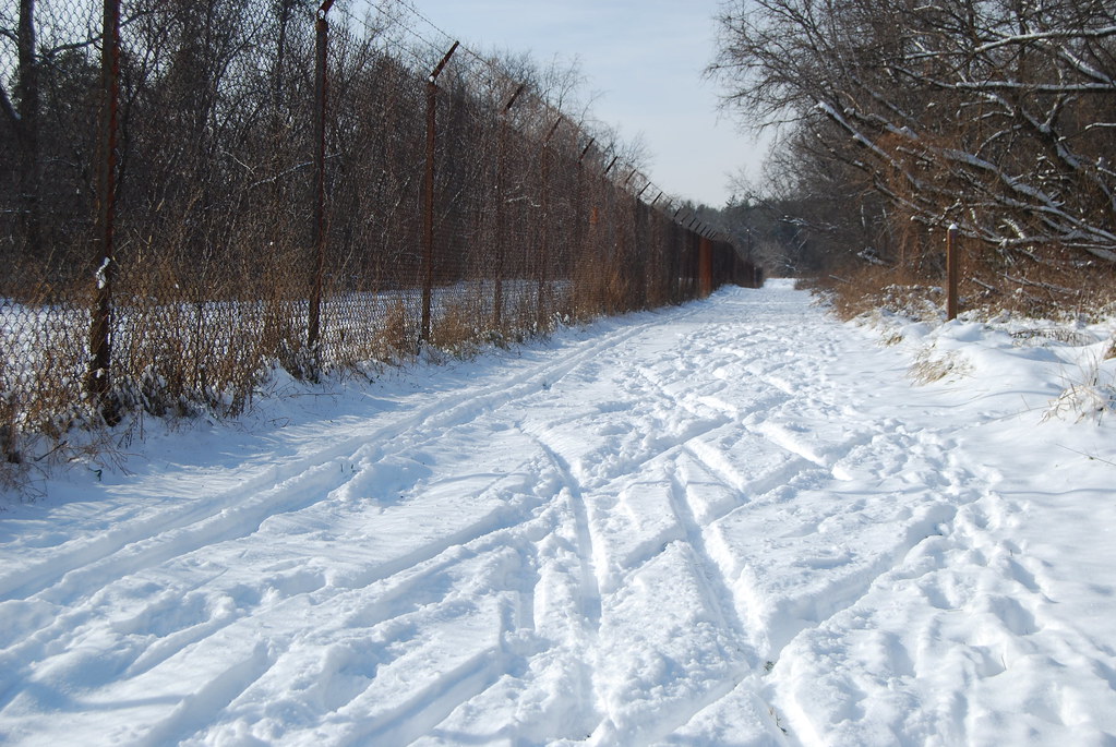Winter at Waterfall Glen Forest Preserve 029
