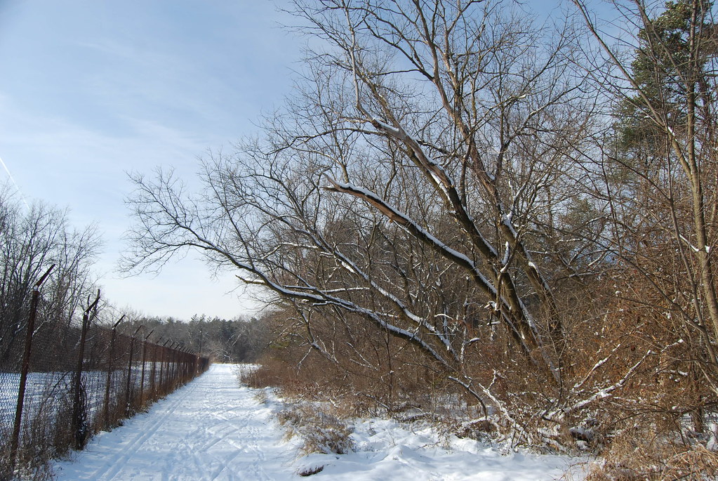 Winter at Waterfall Glen Forest Preserve 031
