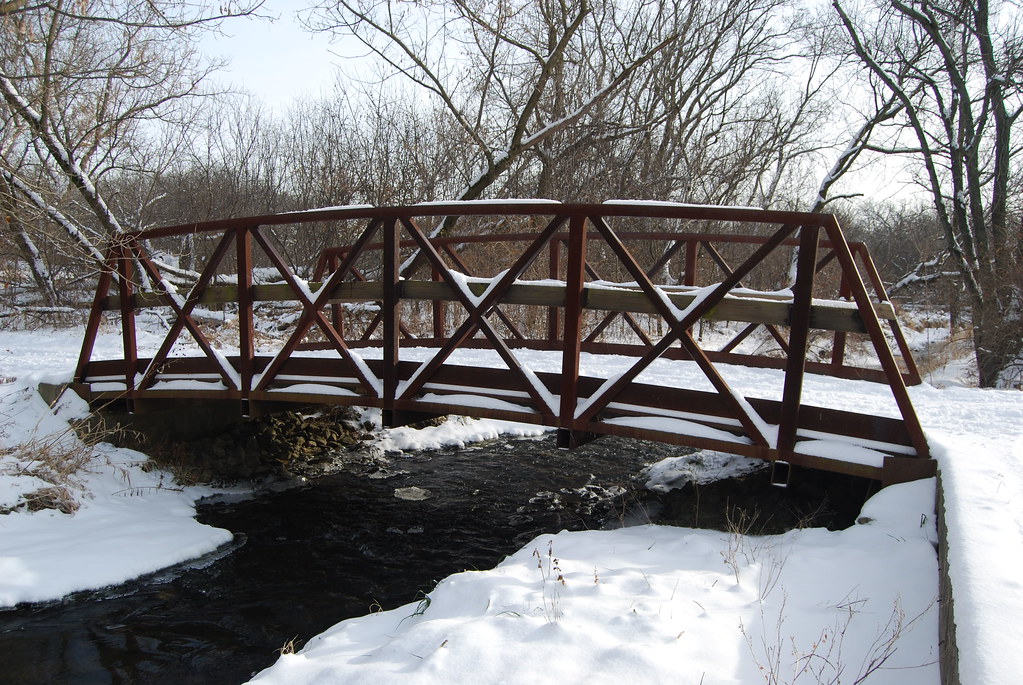 Winter at Waterfall Glen Forest Preserve 145