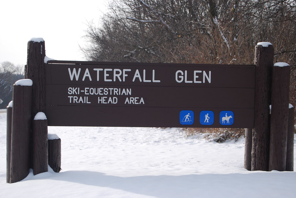 Winter at Waterfall Glen Forest Preserve 153