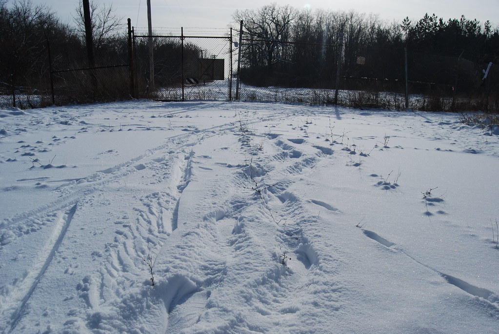 Winter at Waterfall Glen Forest Preserve 037