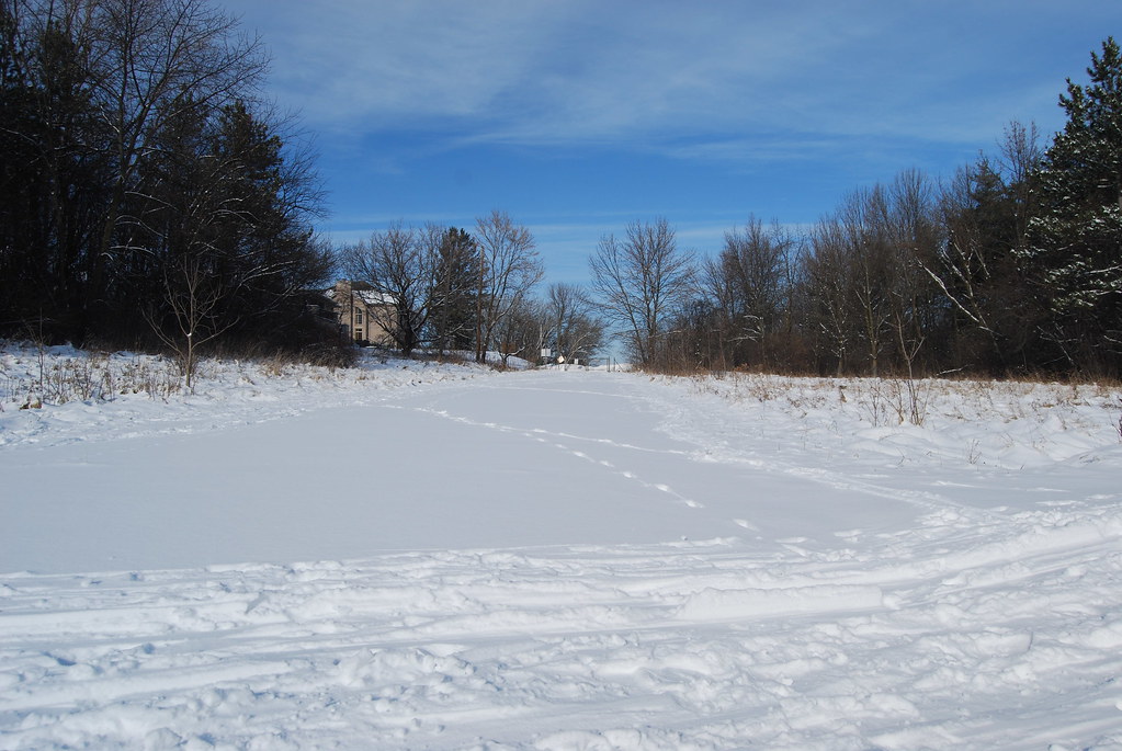 Winter at Waterfall Glen Forest Preserve 043