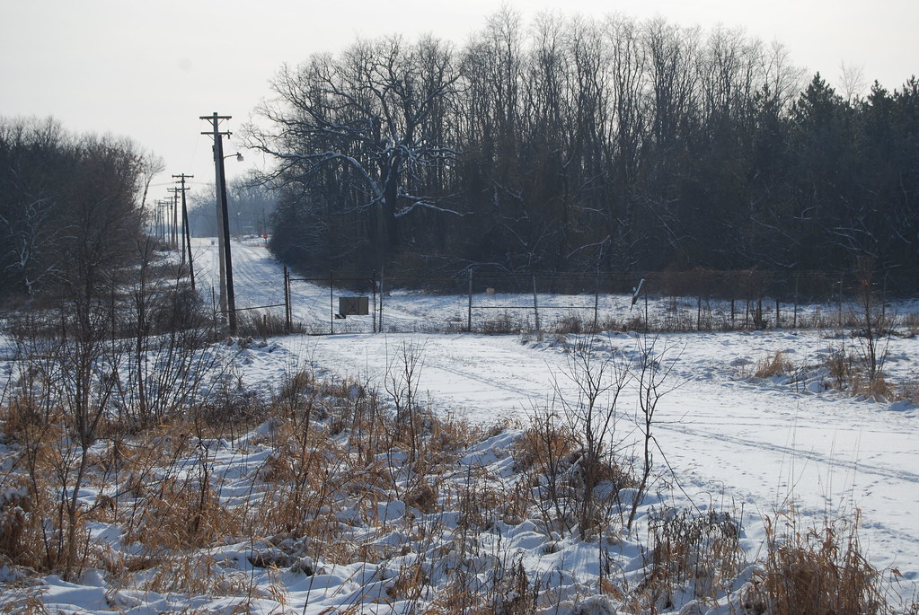 Winter at Waterfall Glen Forest Preserve 045