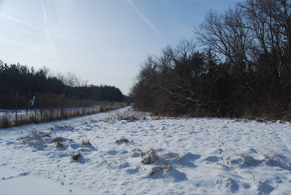 Winter at Waterfall Glen Forest Preserve 035