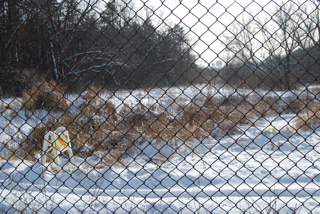 Winter at Waterfall Glen Forest Preserve 030