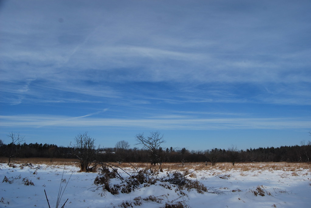 Winter at Waterfall Glen Forest Preserve 135