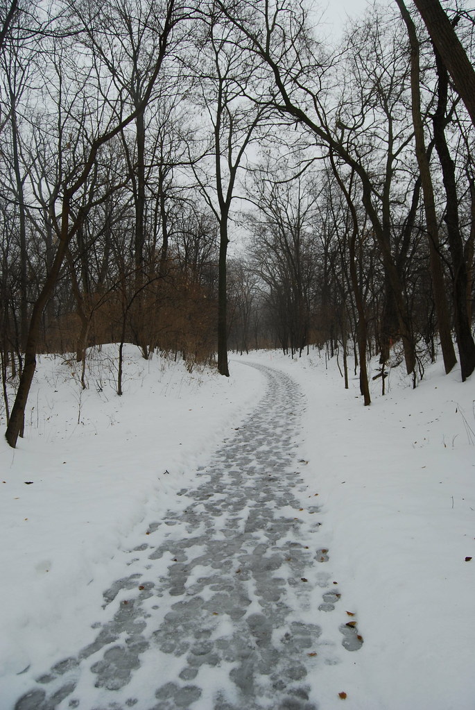 Naperville Winter 21
