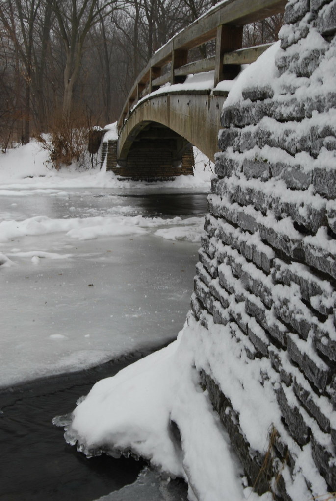 Naperville Winter 13