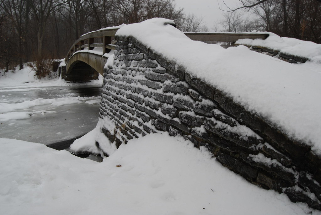 Naperville Winter 11