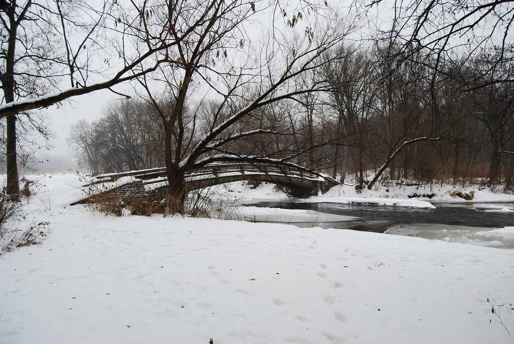 Naperville Winter 04