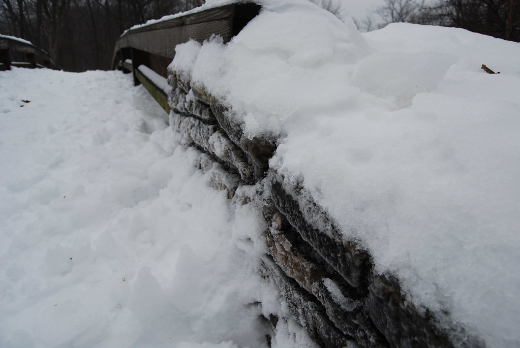 Naperville Winter 10