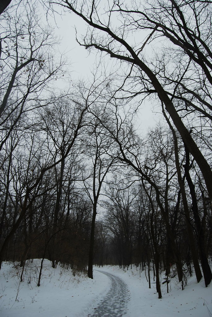 Naperville Winter 20