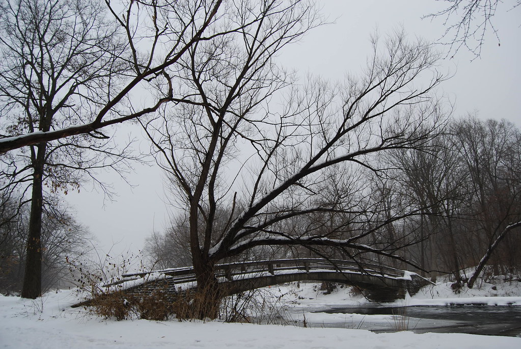 Naperville Winter 15